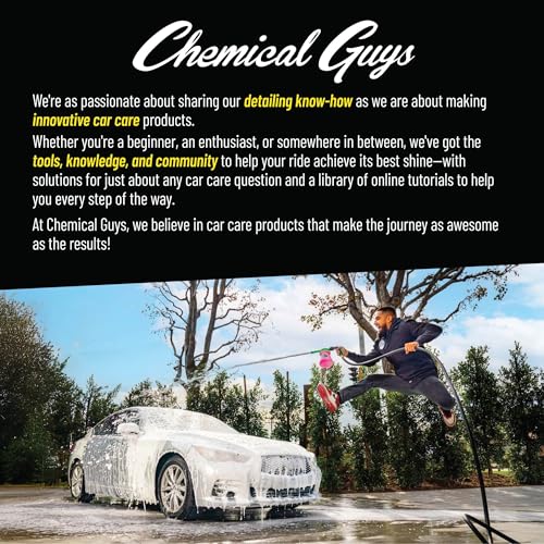 Chemical Guys, Bug & Tar Remover, Fast-Acting Pre-Wash for Paint, 16 oz - size: 16 Fl Oz (Pack of 1)