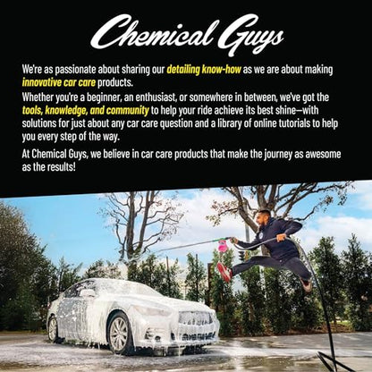 Chemical Guys, Bug & Tar Remover, Fast-Acting Pre-Wash for Paint, 16 oz - size: 16 Fl Oz (Pack of 1)