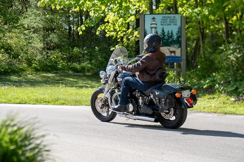 Dowco Willie & Max Compact Slant Saddlebags, 20L total capacity