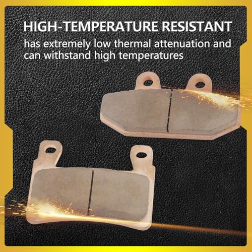 Sintered Disc Brake Pad For 2018-2024 Harley Davidson 107 Series, 114 Series, 117 Series, FLI Hydra-Glide Revival, Replace# FA265 41300102, FA710 41300197