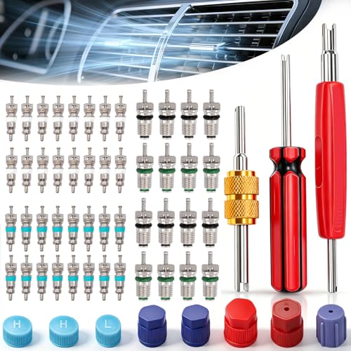 Taiss 59PCS Air Conditioning Valve Core Accessories Kit R12 R134a Refrigeration Tire Valve Stem Cores with Valve Core Rmover Tool HVAC AC System Seal Caps Kit F-092 - color: 59PCS