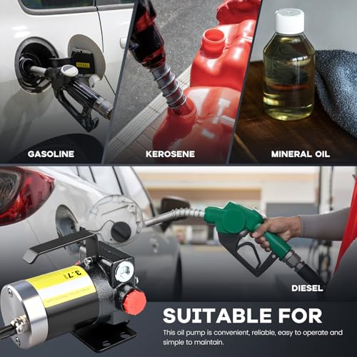 12V DC Gasoline Fuel Pump Kit, Self-priming Fuel Transfer Pump, Reversible Pumping, Overheat Protection, Explosion-proof, Suitable for Gasoline, Diesel, Mineral Oil, Kerosene - color: dark(12dckit)