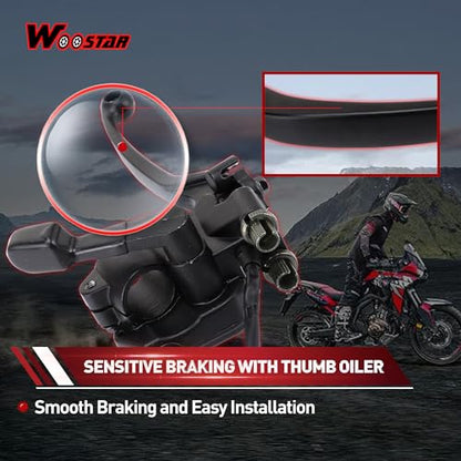 WOOSTAR 7/8" 22mm Straight Handle Thumb Throttle with Dual Brake Lever Assembly Replacement for Taotao Buyang Kazuma Sunl 50cc 70cc 90cc 110cc 125cc 150cc 250cc ATV 4 Wheeler Quad Buggy Dirt Pit Bike