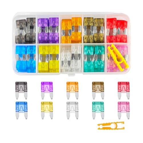 Mandark 120PCS 2-35 Amp Standard Mini and Low-Profile Blade Fuse Kit - color: 120PCS