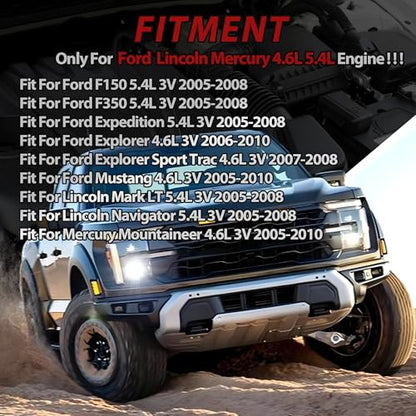 Triton Camshaft & Timing Chain Kit & Lifters for Engine Overhaul 5.4L