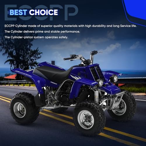 ECCPP 124cc Cylinder Top End Rebuild Kit for Yamaha for TTR125 2000-2003 - size: 5VL-E1310-00