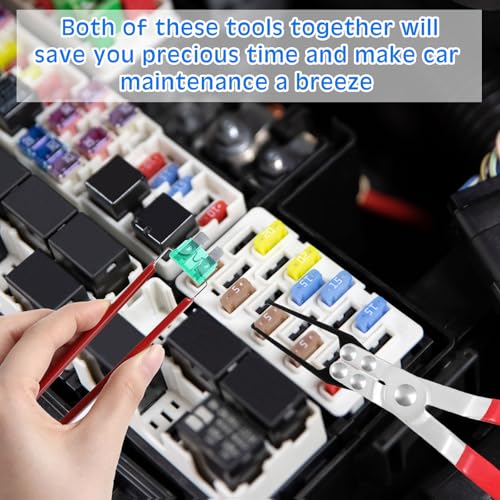 DaisyInner 168 Pcs Car Fuse Assortment Kit 54 Standard and 114 Mini Blade Auto Fuses 2/3/5/7.5/10/15/20/25/30/35/40A, 10 Pcs Car Relay 5 Pin 12V 30/40A and 2 Pcs Relay Fuse Puller Pliers Removal Tools