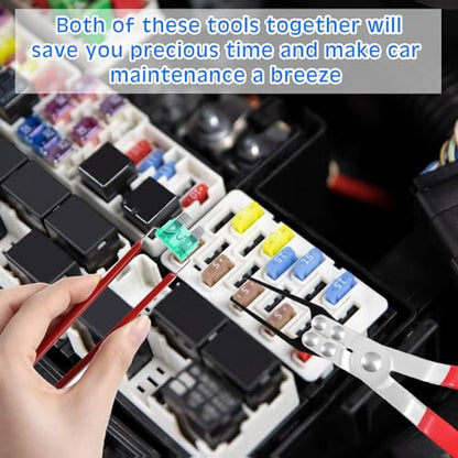 DaisyInner 168 Pcs Car Fuse Assortment Kit 54 Standard and 114 Mini Blade Auto Fuses 2/3/5/7.5/10/15/20/25/30/35/40A, 10 Pcs Car Relay 5 Pin 12V 30/40A and 2 Pcs Relay Fuse Puller Pliers Removal Tools