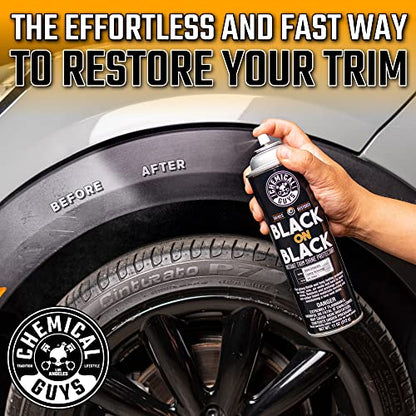 Chemical Guys, Black on Black Instant Exterior Trim Shine Dressing, 11 oz