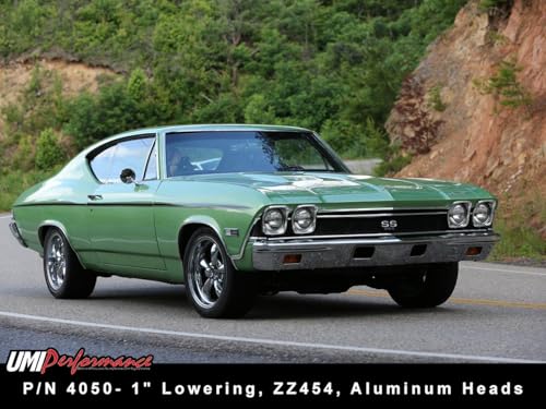 UMI Performance 4050R Lowering Spring Set