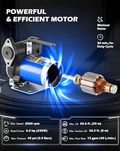 OMT 12GPM Gasoline Transfer Pump, 12V Priming Electric Fuel Pump Set - color: 12GPM Gas Pump