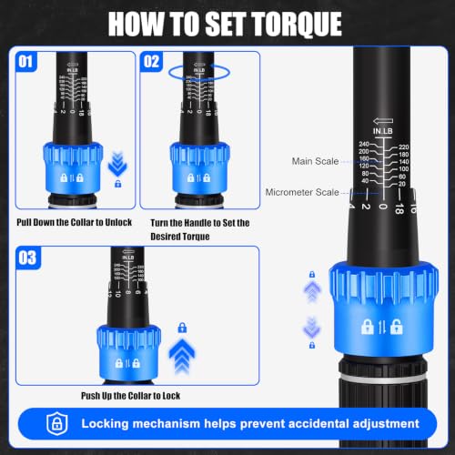 3/8-Inch Drive Click Torque Wrench Set (20-240 in.-lb), 31-Piece Bike & Auto Tool Kit with Metric Sockets (6-21mm), Torx/Hex Bit Sockets, Spark Plug Sockets & Extension - size: 3/8" 20-240 in.lb - 31 Pcs