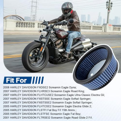 HD-0800 29442-99e Air Filter for Harley Davidson Road King Electra Glide Screamin Eagle Road Glide Dyna Softail Springer Ultra Classic FatBoy Wide Street Super Glide 2944299C 2944299A 2944299B