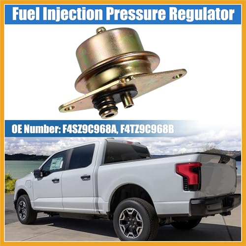 Fuel Injection Pressure Regulator for Ford F-150 1994-1999 for Ford F-250 1993-1999 Replaces F4SZ9C968A F4TZ9C968B Replacement