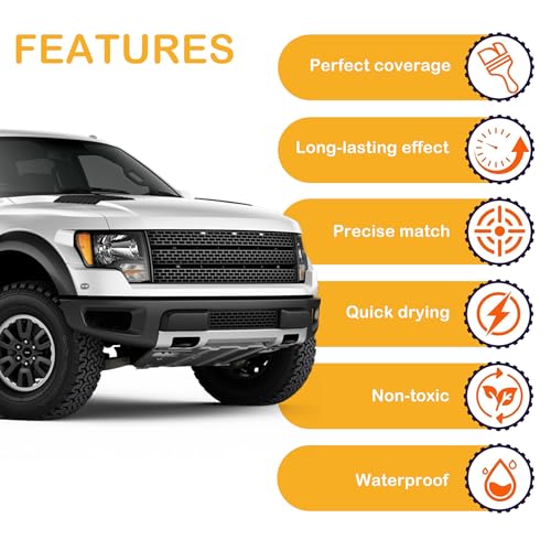G1 Shadow Black Touch Up Paint for Ford Exact Match - color: Shadow Black(G1)