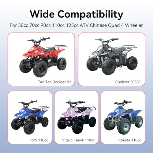 FVRITO 12V Led Rear Brake Tail light for 50cc 70cc 90cc 110cc 125cc Taotao 110B Boulder B1 Coolster 3050C Vitacci HAWK Peace Roketa Sunl BMS Bamboo RPS Raider 6 ICEbear JCL Chinese Quad ATV 4-Wheeler
