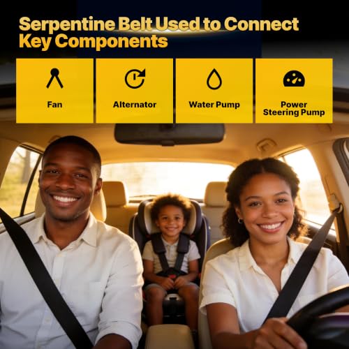 12669858 Serpentine Drive Belt with Chevy Silverado Suburban Tahoe - size: 6PK1750-1750mm