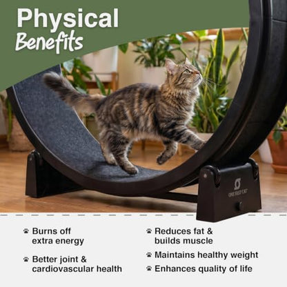 One Fast Cat - Cat Exercise Wheel - Made in the USA - 48" Diameter - Gen. 7 - color: Black Wheel / Black Felt / Black Inline