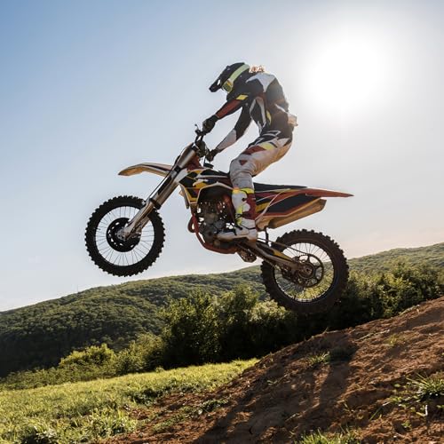 2.50-10 4PR TT 33J Off Road Mini Dirt Bike Front/Rear Tire and Inner Tube Compatible with 2.5-10 Off Road Dirt Bike Pit Bike/Motorcycle Tire (P-279)