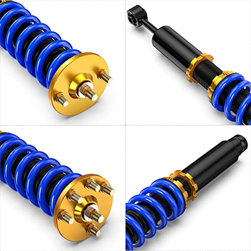MOSTPLUS Full Coilovers Struts Compatible with 2004-2008 Acura TSX/2003-2007 Honda Accord LX EX DX SE Adjustable Height Shock Absorber Assembly (Set of 4) - size: 2003-2007 Honda Accord
