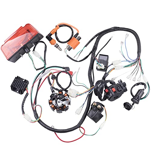Complete Electrics Wiring Harness Stator Coil CDI Solenoid Relay Spark Plug Tail Light for 4 Wheelers Stroke ATV （150cc 200cc 250cc 300cc） Pit Dirt Bike Go Kart Zongshen Lifan By OTOHANS AUTOMOTIVE