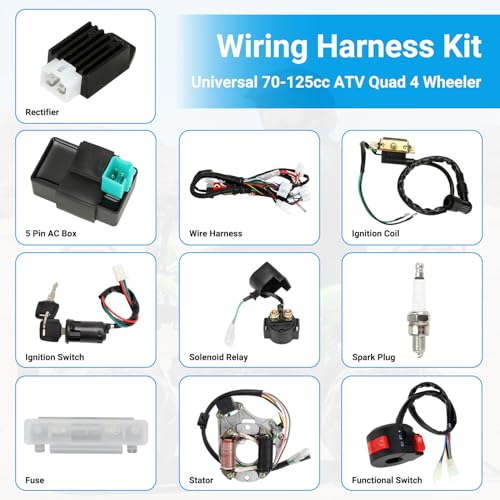 EOPOAYI Complete Wiring Harness Kit for Tao tao Coolster 110cc Chinese ATV