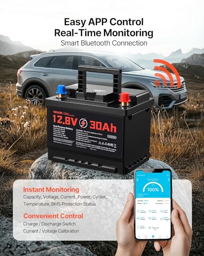 VEVOR 12V 30Ah LiFePO4 Dual Purpose Battery, 600CCA BCI Group 47 Deep Cycle & Starter Lithium Battery, Built-in Smart BMS, Automotive Start-Stop for RV, Marine, Trolling Motor, Car & Engine Starting - style: Group 47 30Ah 600CCA