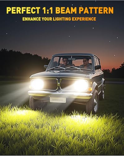 Termitor D2S Light Bulbs, 55000LM 1000% Brighter 6500K Cool White - color: D2S-