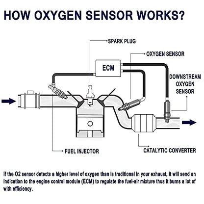 HiSport 250-24773 O2 Oxygen Sensor Upstream Downstream 12590035