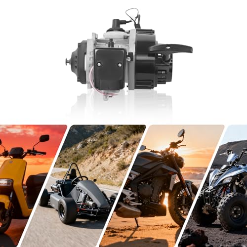 49cc Engine 2 Stroke Engine Dirt Bike Engine Pit Bike Engine Parts for 33CC/36CC/43CC/47CC/49CC Dirt Bike, Pit Bike, Go-Kart, Air-Cooled, Aluminum Alloy, 44mm Bore, 25H Chain, 7T Sprocket