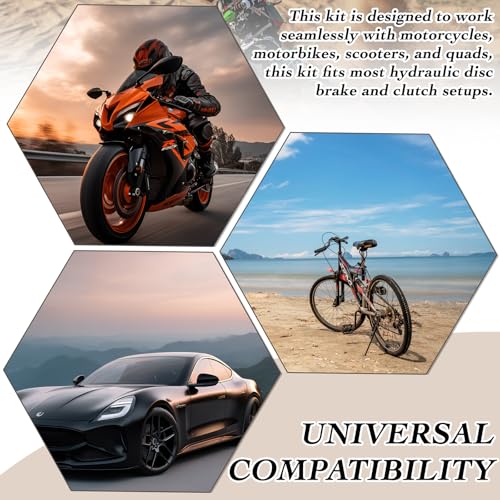 LhyBtm Brake Bleed Kit Universal Motorcycle Brake Bleed Kit 100ml Syringe with 50cm Hose for Hydraulic Disc Brakes & Clutch Systems One Person Reverse Bleeding Tool for Motorbikes, Scooters and Quads