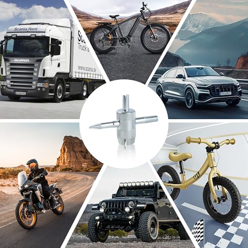4 Pcs 4-Way Valve Core Removal Tool Stainless Steel Tire Valve Stem Tools 4-in-1 Valve Stem Removal Tool Valve Stem Puller for Bicycle Motorcycle Car