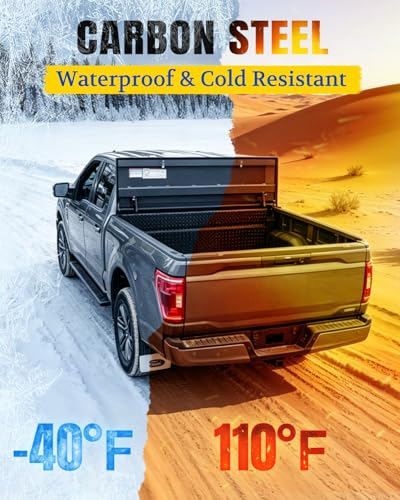 ARANA 10 inch 35 lb Gas Struts for Truck Tool Box & RV Cabinets, 2 Pcs