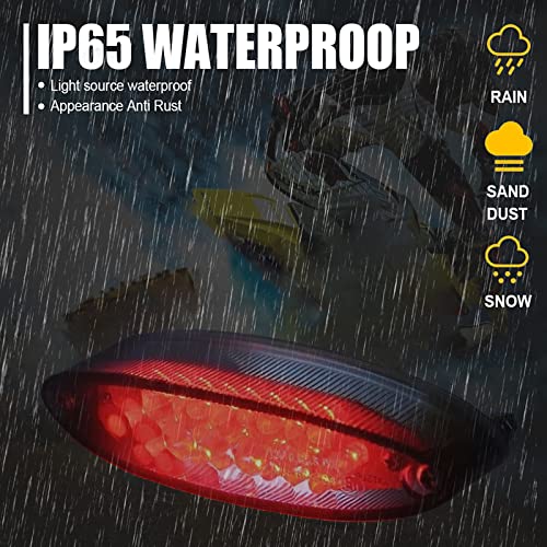 Motorcycle Taillight Universal Brake Stop Light ATV Tail Light - color: Smoke