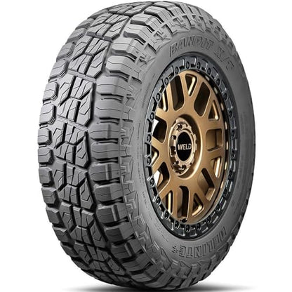 Delinte DX20 Bandit X/T 255/55R18XL 109W Light Truck & SUV Tire - size: 255/55R18
