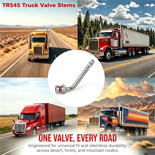 TR545D Truck Tire Valve Stem 10 Pack, 9.7mm Rim Hole, 22.5" 24.5" Aluminum