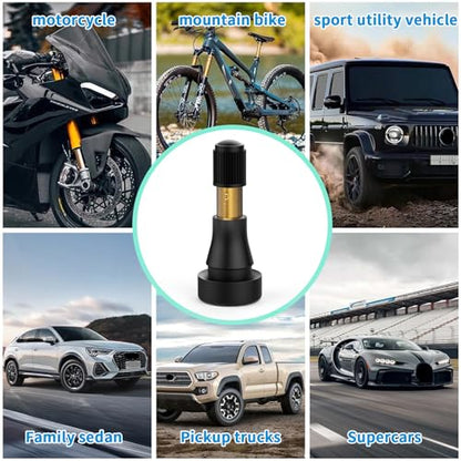 100PCS TR600HP Tire Valve Stems, High Pressure Brass Rubber Snap-in Tire Wheel Valve Stem for Most Car Auto Tires