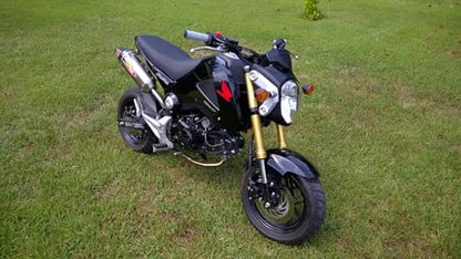 Mokuo Motorcycle Fairing Kits Compatible with Honda Grom MSX 125 2013-2016,Black Color - style: Black