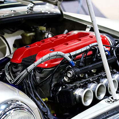 ERA Paints Red Engine Paint Kit With Omni-Curing Catalyst Technology - 2K Aerosol Glossy Finish With High Temp Resistance And Extreme Durability Against Color Fade And Chemicals Like Brake Fluid - color: Red 2K Spray Paint Kit
