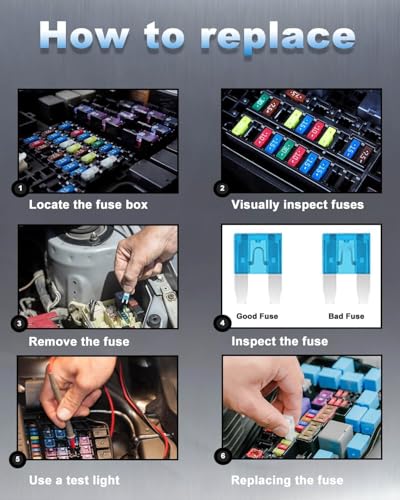 Riseuvo 250Pcs Mini Blade Fuses Assortment Kit with Fuse Puller - size: Mini