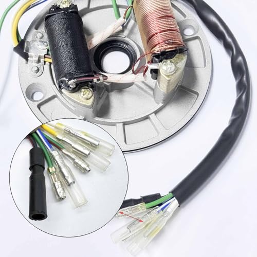2 Coil Ignition Magneto Stator Plate for 50 70 90 110 125cc Taotao Kazuma SSR Baja ATV Quad Dirt Kick Bike 4 Wheeler with 24mm&27mm Magneto Flywheel GY6 Puller ATV Scooter Repair Tool