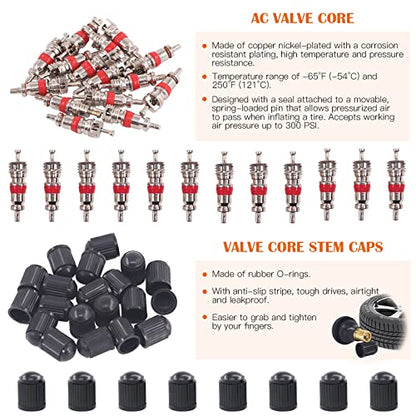 119Pc Valve Core Remover Tools with Aluminum Tire Stem Caps, Dual and 4-Way Valve Tool Kit for Automotive, Truck, Motorcycle, Bicycle