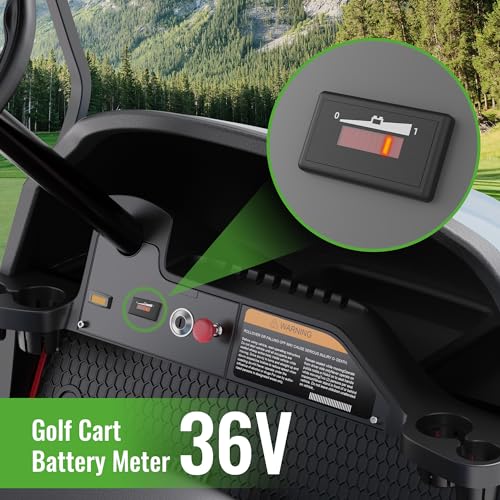 10L0L Golf Cart Battery Meter 48V LED Power Indicator for Lead Acid Batteries