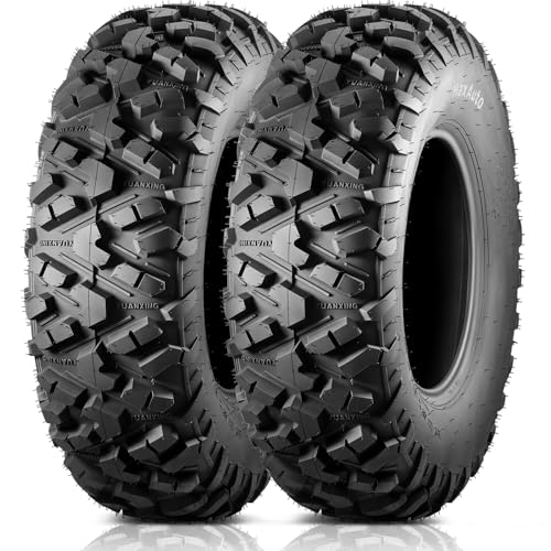 MaxAuto AT25x8-12 ATV UTV Tires, 25x8x12 All Terrain ATV Tires for All Trail Tire, 25 8 12 Mud Sand Off-Road Tire 205/80-12, 6PR Tubeless, 2 Pack - size: 25X8-12