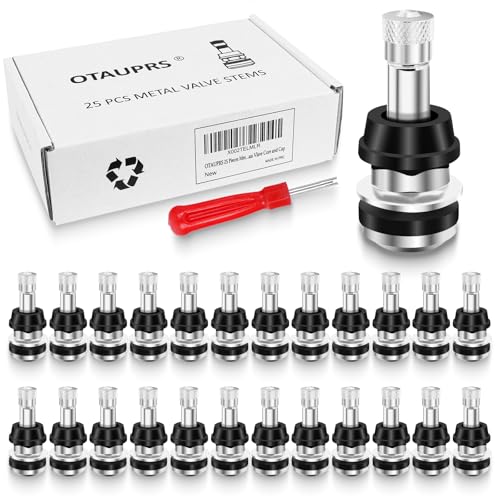 25 PCS TR416 Metal Valve Stems, Bolt in Tire Valve Stem, High Pressure Valve Stems, Outer Mount Fits 0.453" and 0.625" Rim Holes - size: 25 Pack