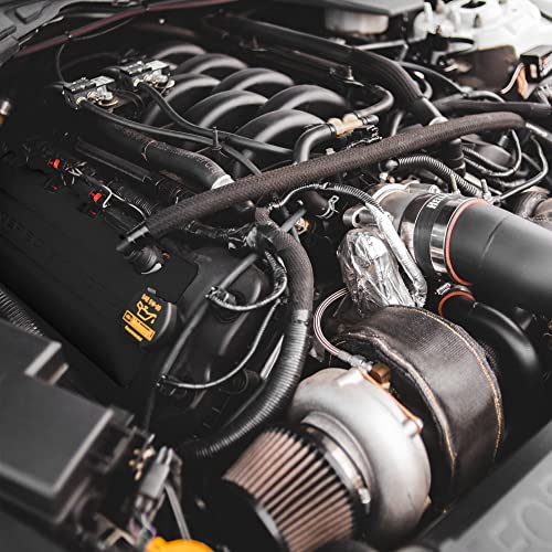 ERA Paints Black Engine Paint Kit With Omni-Curing Catalyst Technology - 2K Aerosol Glossy Finish With High Temp Resistance And Extreme Durability Against Color Fade And Chemicals Like Brake Fluid - color: Black 2K Spray Paint Kit