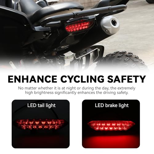 LED Tail Light for Yamaha Raptor 700 700R, Smoked Black