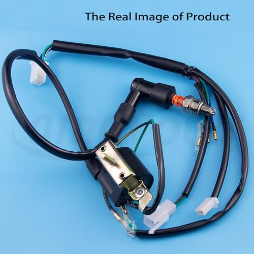 Wire Harness Wiring Loom CDI Ignition Coil Spark Plug Rebuild Kit Aftermarket Replacement Parts Fits for 50cc 70cc 90cc 110cc 125cc Stator CDI Coil ATV Quad Bike Buggy Go Kart Motorcycle.