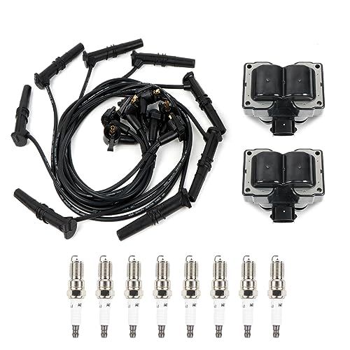 2PCS FD487 Ignition Coils Pack & 8PCS Iridium Spark Plugs & 8PCS Spark Plug Wires Set Compatible with Ford Mercury Lincoln Town Car F150 Expedition Crown Victoria 4.6L V8 - size: FD487 Ignition Coil & Spark Plug & Wires