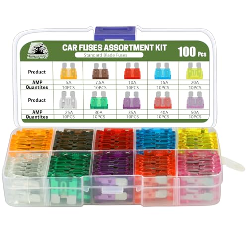 LOCOPOW 100Pcs Standard Blade Fuses Kit Car Fuse Assortment Kit RV Fuses - size: 100PCS